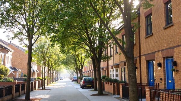 Top Thornton Heath estate agents for your buying and selling needs