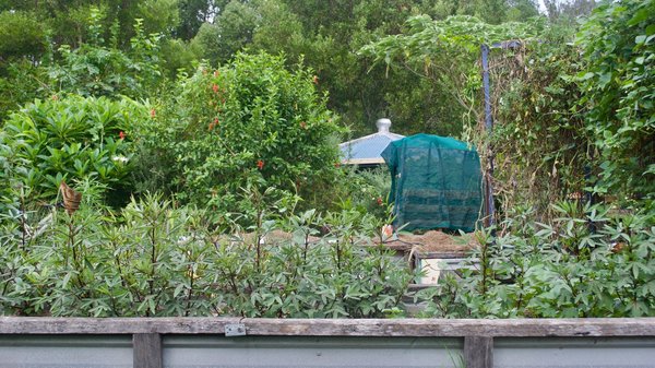 How to Use Urban Permaculture to Create Self-Sustaining Communities?