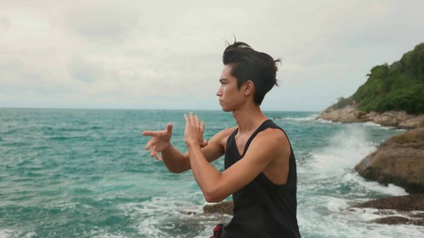 Does Regular Practice of Qigong Improve Immune System Functioning in Older Adults?